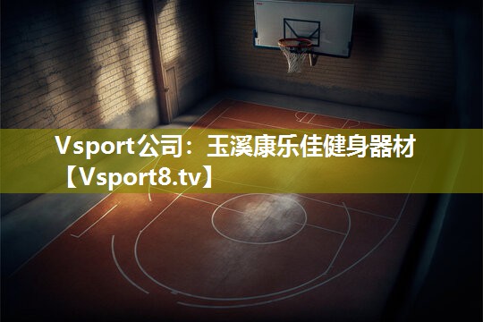 Vsport公司：玉溪康乐佳健身器材