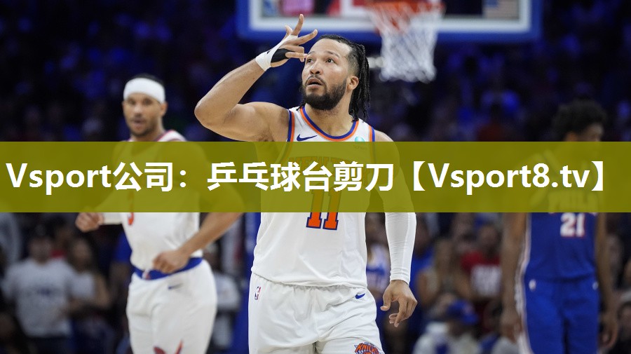 Vsport公司：乒乓球台剪刀