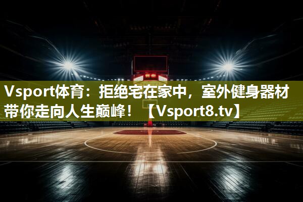 Vsport体育：拒绝宅在家中，室外健身器材带你走向人生巅峰！