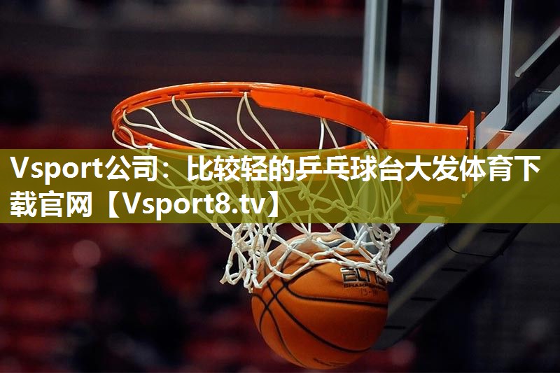 Vsport公司：比较轻的乒乓球台大发体育下载官网