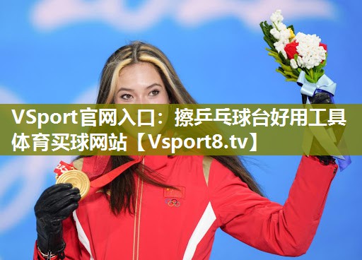 VSport官网入口：擦乒乓球台好用工具体育买球网站