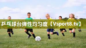 乒乓球台弹性均匀度