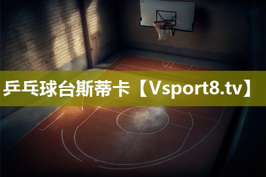 乒乓球台斯蒂卡
