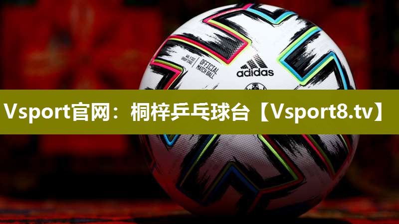 Vsport官网：桐梓乒乓球台