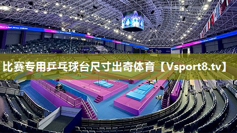 比赛专用乒乓球台尺寸出奇体育