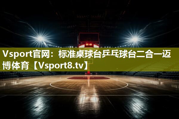 Vsport官网：标准桌球台乒乓球台二合一迈博体育