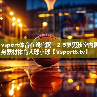 vsport体育在线官网：2-5岁男孩室内健身器材体育大球小球