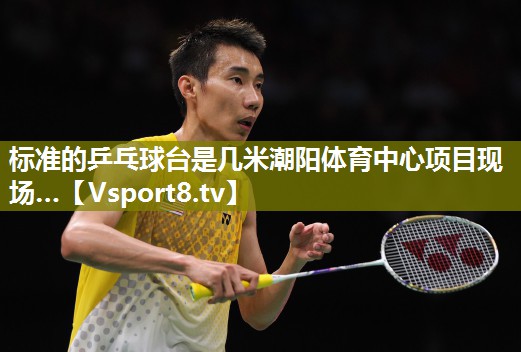 标准的乒乓球台是几米潮阳体育中心项目现场…