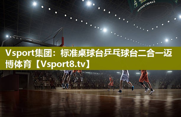 Vsport集团：标准桌球台乒乓球台二合一迈博体育
