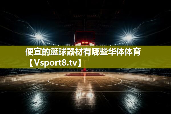 便宜的篮球器材有哪些华体体育