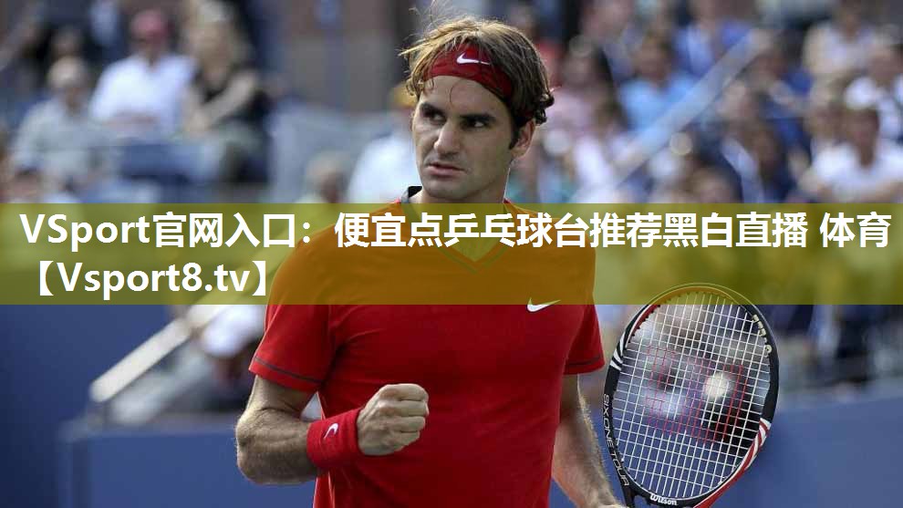 VSport官网入口：便宜点乒乓球台推荐黑白直播 体育