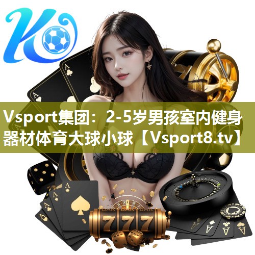 Vsport集团：2-5岁男孩室内健身器材体育大球小球