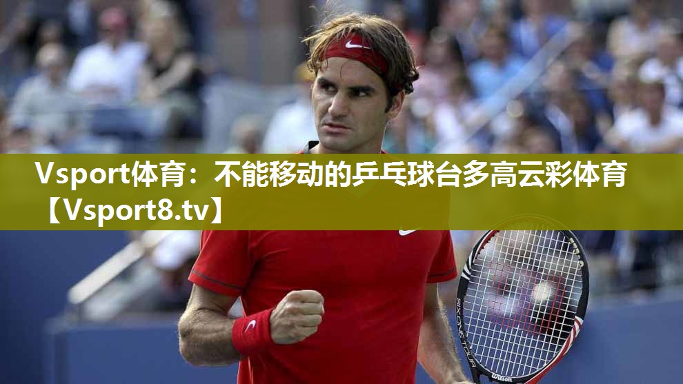 Vsport体育：不能移动的乒乓球台多高云彩体育