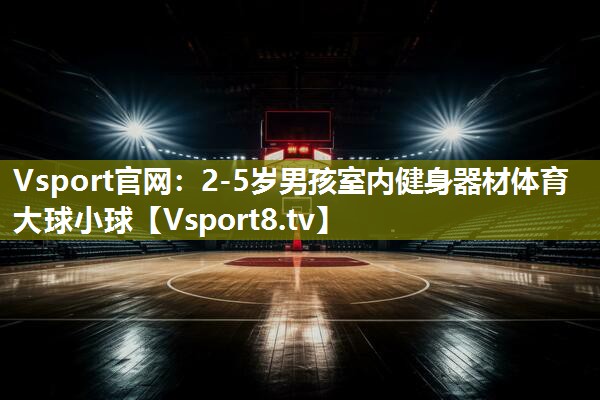 Vsport官网：2-5岁男孩室内健身器材体育大球小球
