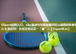VSport官网入口：nba篮球专项健身器材松山湖南部体育中心全面启用！快来这里运动一“夏”~