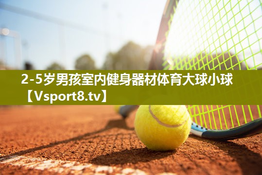 2-5岁男孩室内健身器材体育大球小球