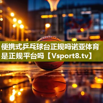 便携式乒乓球台正规吗诺亚体育是正规平台吗