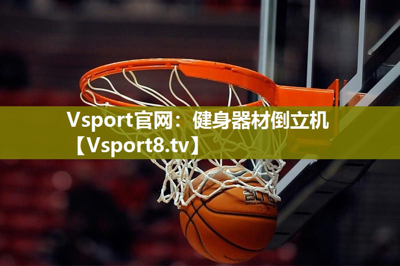 Vsport官网：健身器材倒立机