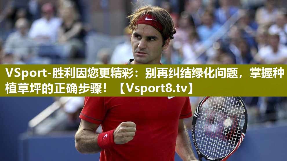 VSport-胜利因您更精彩：别再纠结绿化问题，掌握种植草坪的正确步骤！