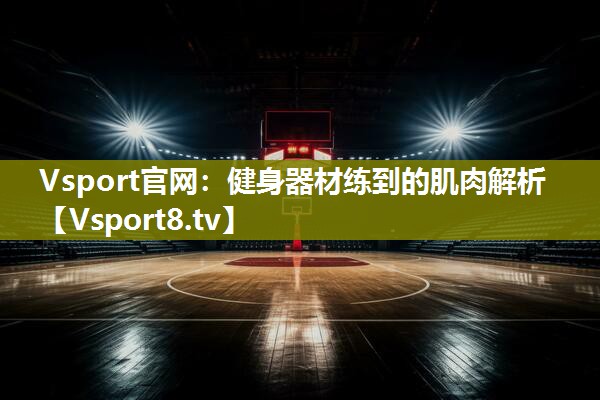 Vsport官网：健身器材练到的肌肉解析