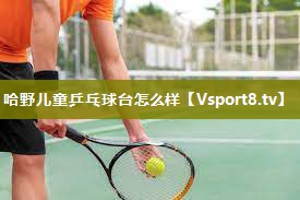 哈野儿童乒乓球台怎么样